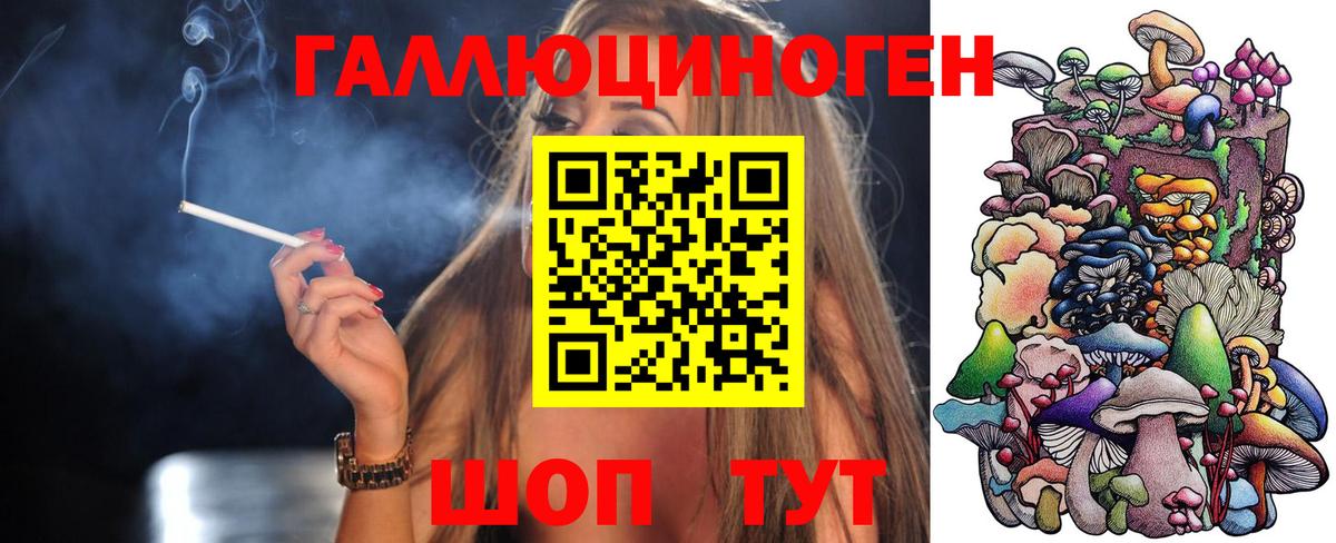 Псилоцибиновые грибы MAGIC MUSHROOMS  Вход с VPN  Муром  Псилоцибиновые грибы Psilocybine cubensis 
